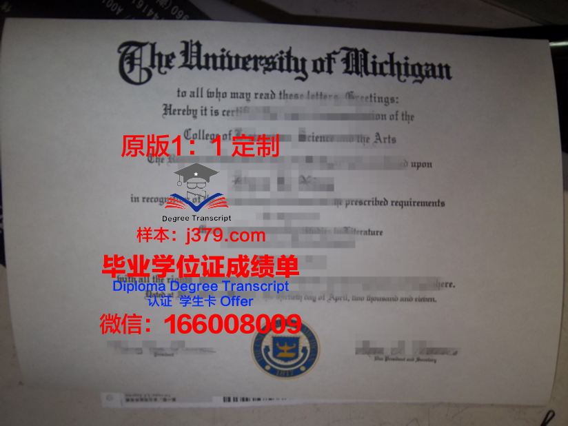 没高中毕业证澳洲留学的影响(留学生没有高中毕业证怎么落户)