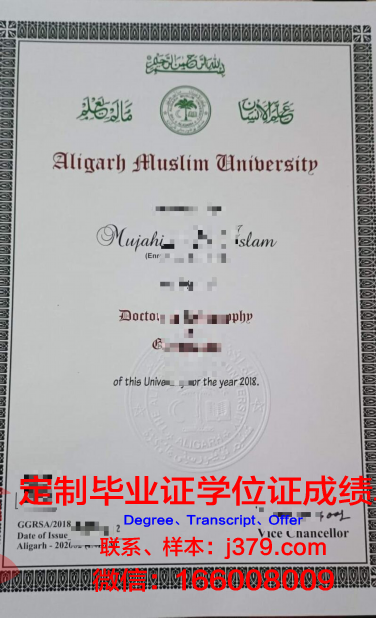 穆罕默德·阿里·金纳大学毕业证高清图