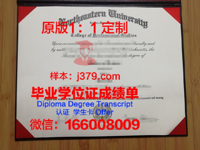 东北大学毕业证Diploma文凭