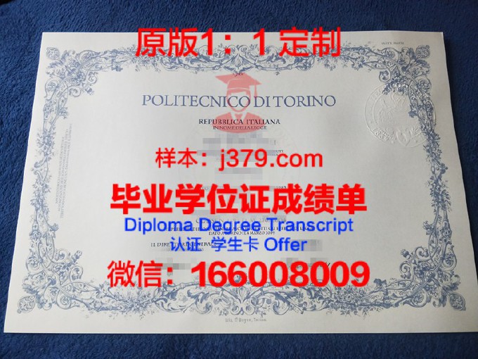 都灵理工大学毕业证Diploma文凭
