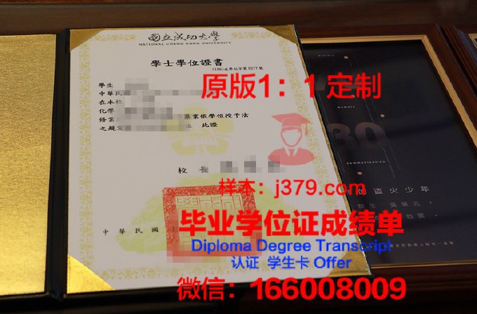 国立成功大学毕业证Diploma文凭