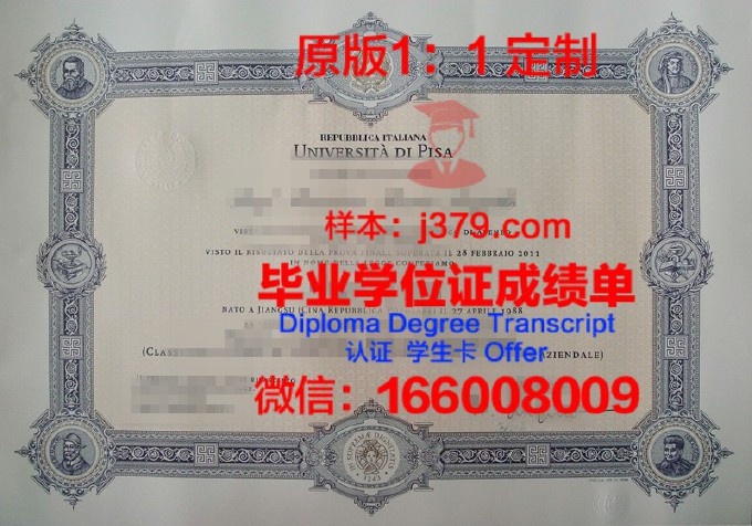 比萨大学毕业证Diploma文凭