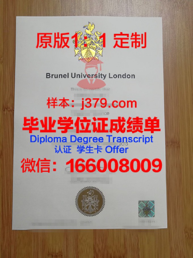 布鲁内尔大学证书成绩单(布鲁内尔大学内测)
